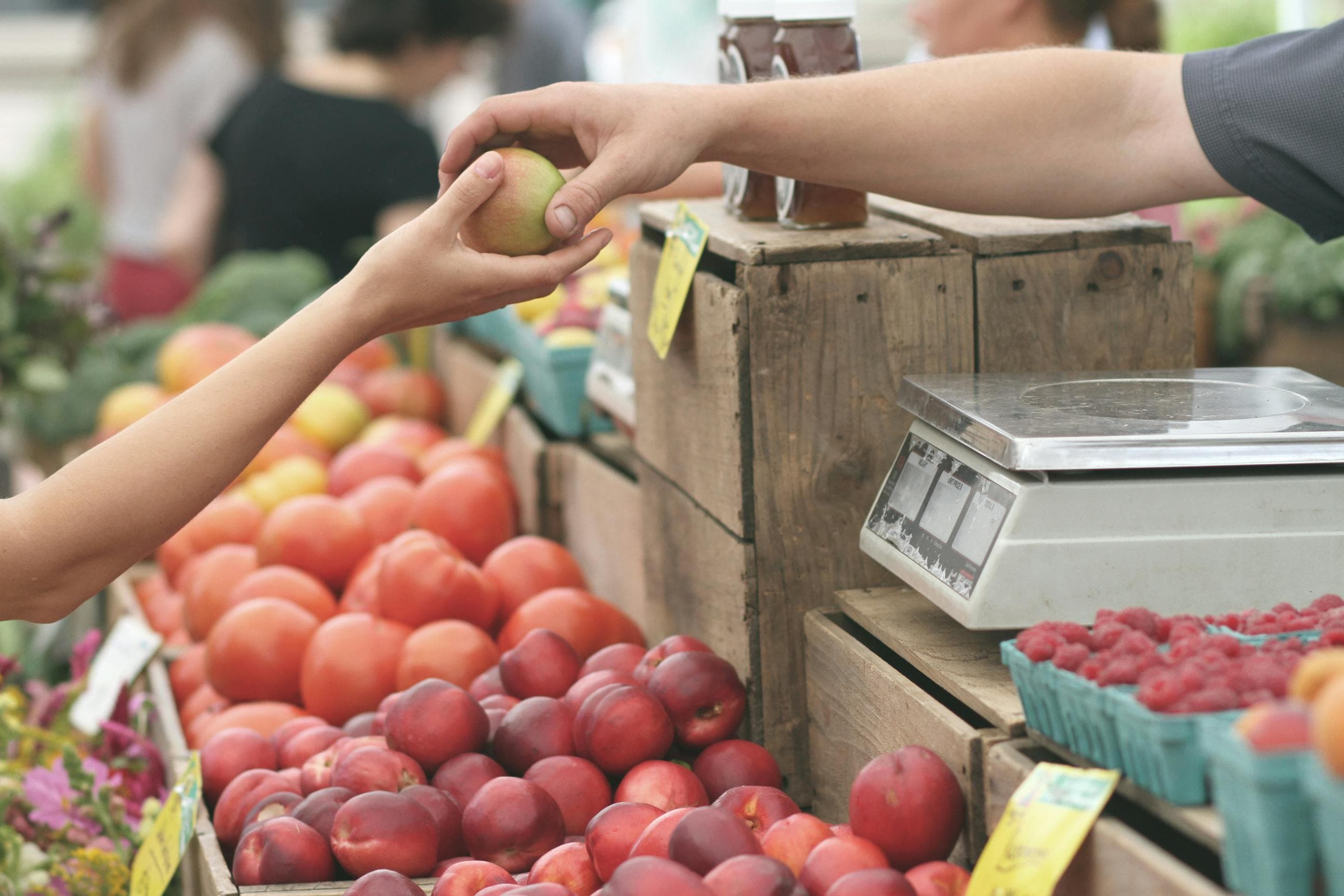 The Food Connection: How Our Grocery System Impacts Everything
